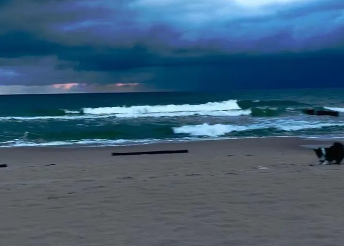 Haus2 Mit Wasserblick By Interhome