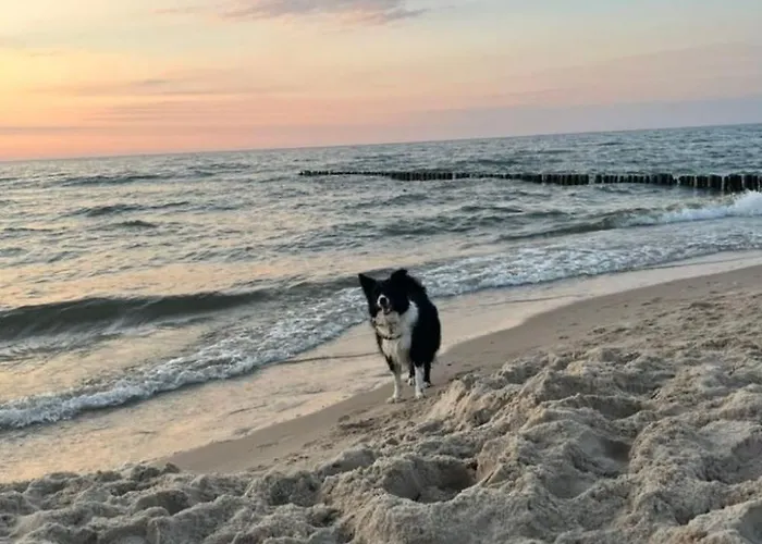 Ferienhaus Haus2 Mit Wasserblick By Interhome *