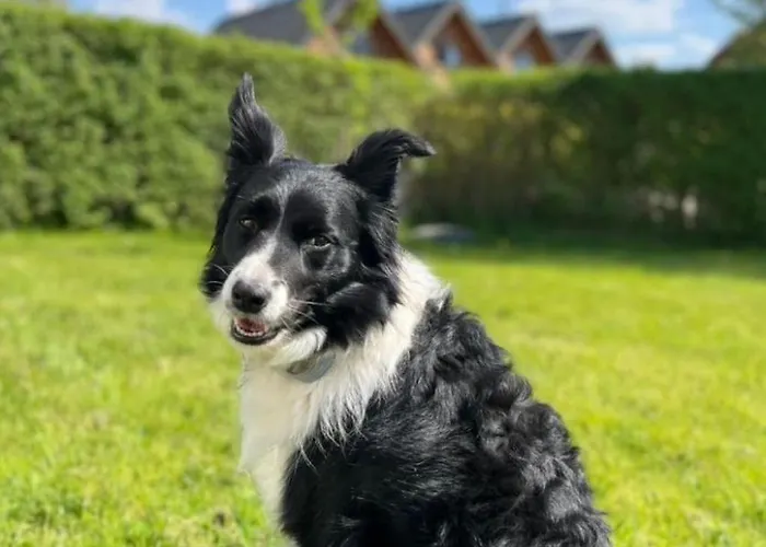 Ferienhaus Haus2 Mit Wasserblick By Interhome *