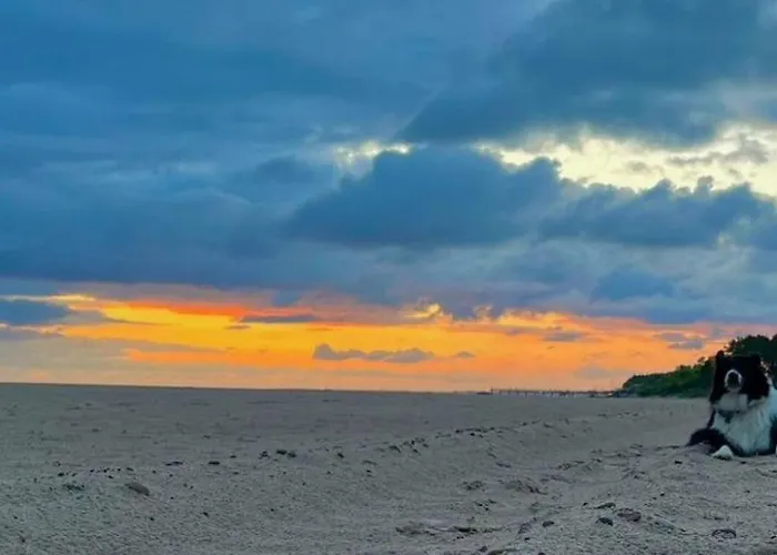 Haus2 Mit Wasserblick By Interhome Sarbinowo