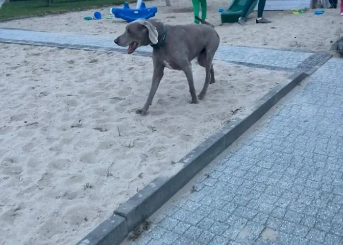 Ferienhaus Haus2 Mit Wasserblick By Interhome *